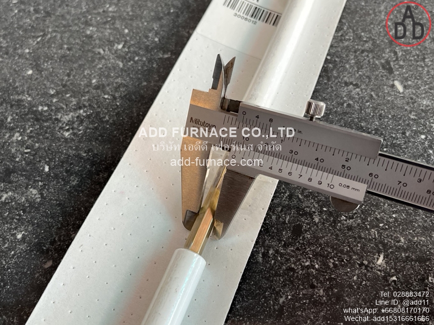 Riello Electrode 3006012(6)